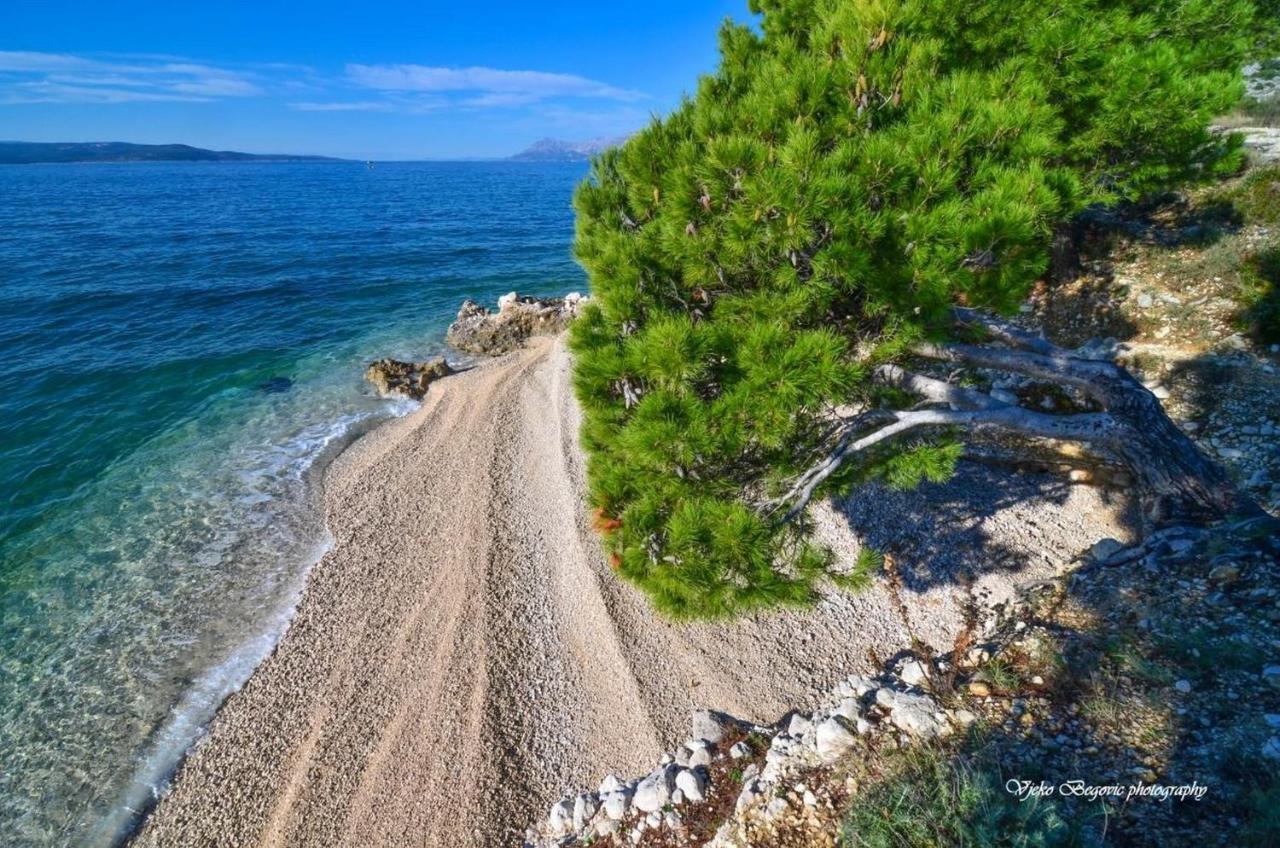 Ivy - Free Parking * Makarska